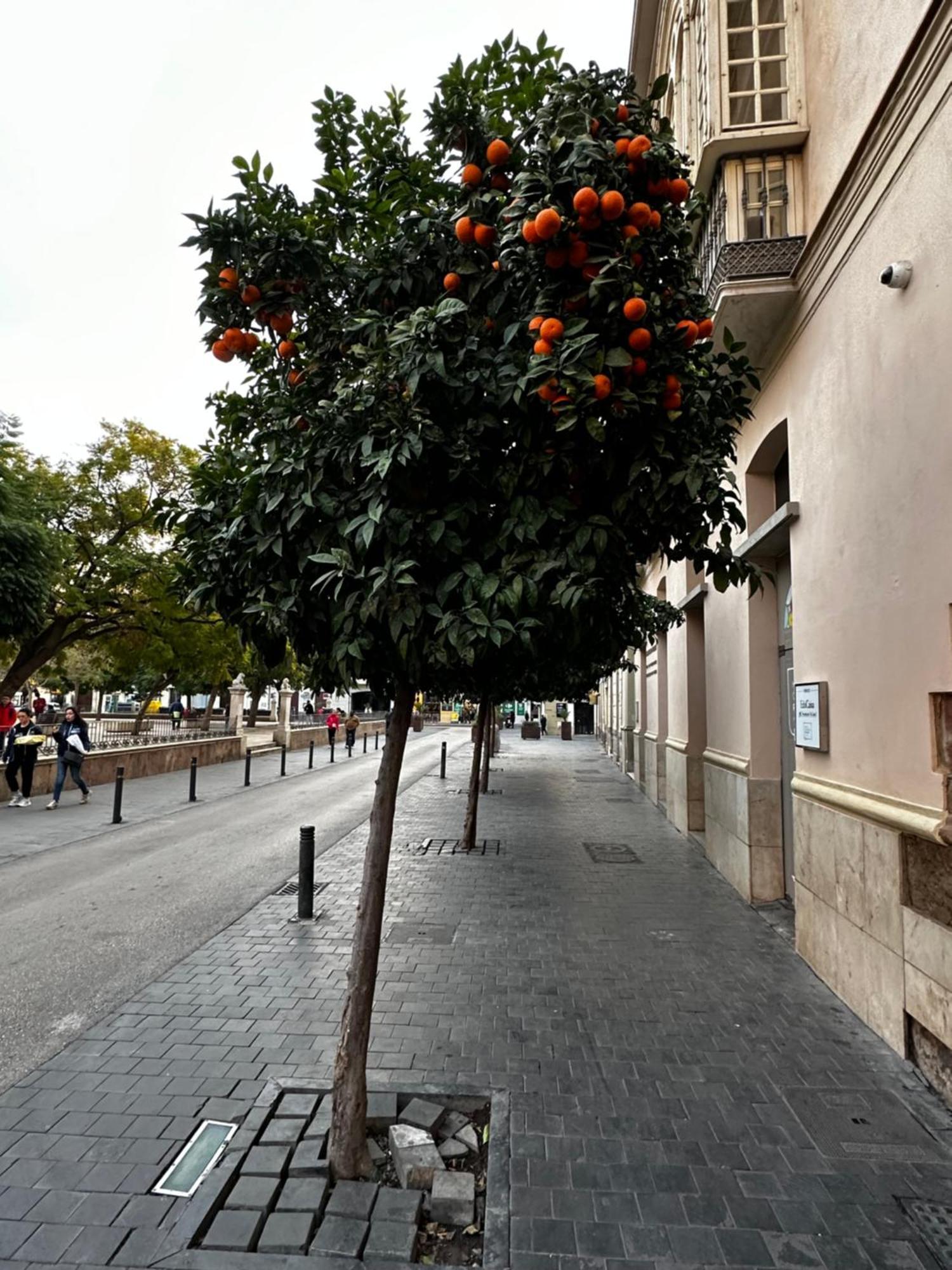Апартаменти Malaga'S Secret Екстер'єр фото